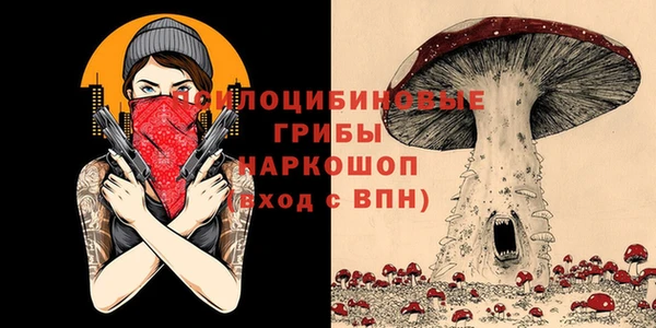 СК Богданович