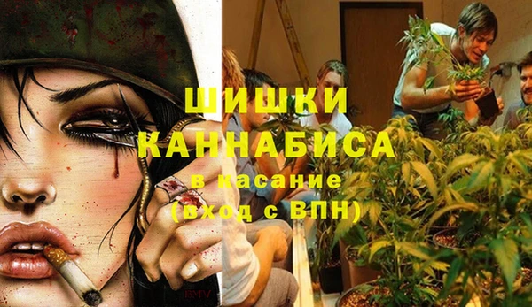 кокс Богородицк