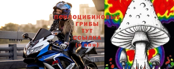 СК Богданович